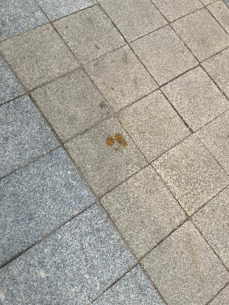 标题满小区到处是狗屎请来次重点打击吧