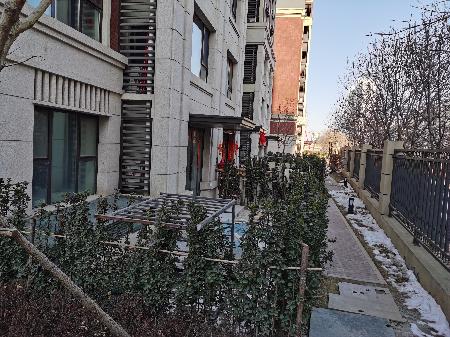 天津静海区中南君悦府小区一楼门口规划问题