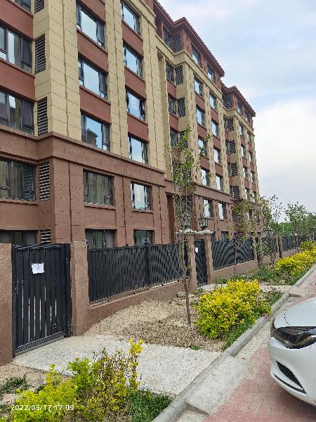 团泊镇政府不作为丽泽府小区违建严重多次反应无果